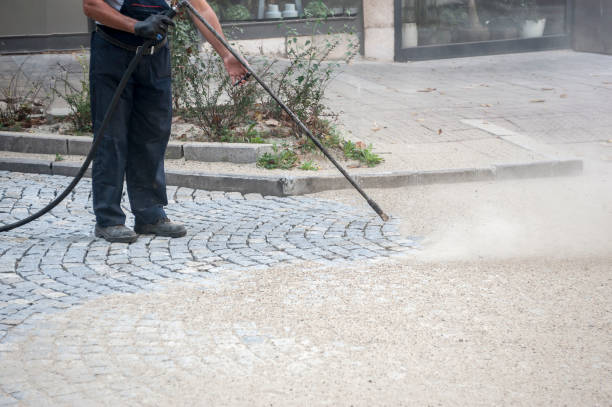 Animal Enclosure Cleaning in Gallitzin, PA